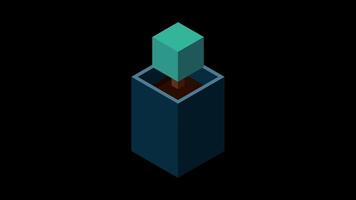 Isometric plant at night animation. Isometric potted plant. Isometric tree. Tree isometric elements. Motion graphic. Transparent background with alpha channel video