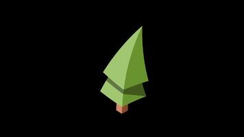 Isometric tree animation. Tree isometric elements. Isometric tree element for landscape design. Park element. Transparent background with alpha channel video