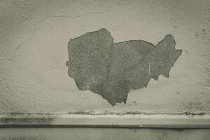 Wall art effect created by a peeling layer of paint revealing an abstract shape on a textured surface in urban space photo