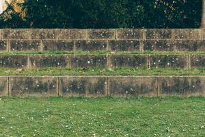 Empty concrete bleachers in a grassy area surrounded by trees during daylight photo