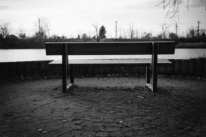 Bench by the water at dusk surrounded by trees in a tranquil natural setting photo