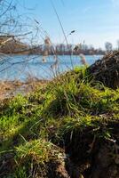 Quiet riverside landscape with lush green grass and serene water under clear blue sky photo