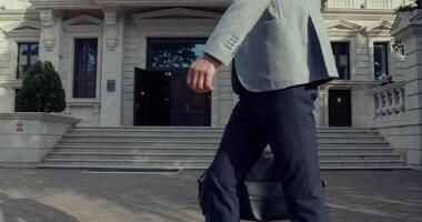 An Elegantly Dressed Professional Stand Outside of a Grand Building with Graceful Style video