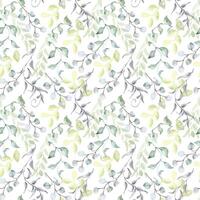 Twigs eucalyptus, leaves in sage green watercolor seamless pattern isolated. Foliage background with repeating plants in pastel tones hand drawn for design textile. Delicate greenery texture vector