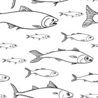 School of sea fish black white seamless pattern. Salmon, anchovy outline hand drawn. Herring, mackerel drawing on repeat background. Shoal of fishes graphic linear style for prints, paper. vector