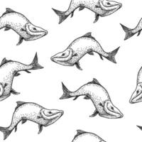 Trout black white seamless pattern. Salmon monochrome sketch hand drawn. Nerka sea fish painted engraving on repeat background. Variety sockeye in graphic for package, fabric, wrapping paper. vector