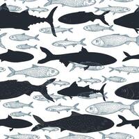 Black silhouette sardine and mackerel fish seamless pattern. Contour hand drawn of small sea fish on repeating background. Design for packaging, textile prints, wrap, nautical themed designs. vector