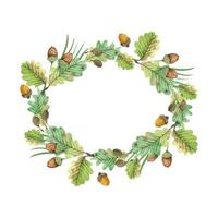 Oval wreath of oak leaves and ripe acorns of brown color, pine needles, all objects are hand painted with watercolors. Watercolor illustration. For printing on fabric, paper, for stationery design vector