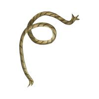 Piece of twine, rope brown, all objects are hand painted with watercolors and isolated on a white background. Watercolor illustration. For decorating cards and invitations, for printing on paper vector