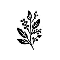 Minimalist Black and White Botanical Illustration of a Stem with Leaves and Berries on a White Background. vector