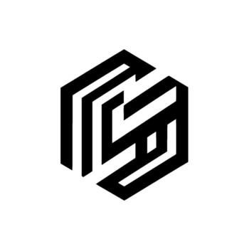 Isometric Black and White Geometric Design A Hexagonal Structure with Intricate Linear Patterns, Modern Minimalism. vector