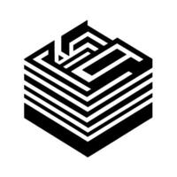 Isometric Black and White Geometric Cube with Overlapping Labyrinthine Elements and Linear Patterns on a White Background. vector