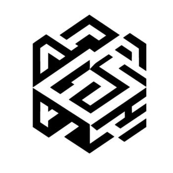 Geometric Hexagonal Maze A Black and White Minimalist with Angular Lines and Shadow Play. vector