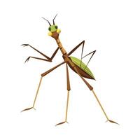 Realistic Walking Stick Insect on a Leaf vector