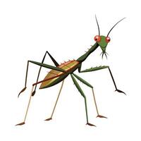 Charming Walking Stick Insect Character Digital Art vector