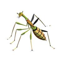 Friendly Walking Stick Insect on a Leaf vector
