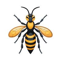 Realistic Wasp on a Green Background vector