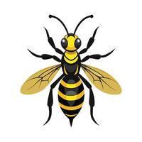Fun Wasp Character for Learning vector