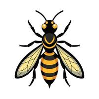 Stylized Wasp for Educational Use vector