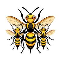 Stylized Wasps for Educational Use vector