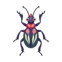 Charming Weevil for Educational Use vector