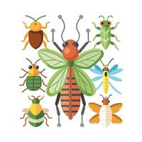 Interactive Insect Names For Learning vector