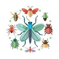 Fun Learning With Insect Names For Kids vector