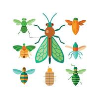 Insect Names Visual Guide For Children vector
