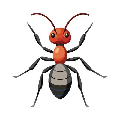 Colorful Ant Illustration For Educational Use