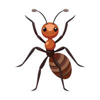 Exploring Unique Ant Species Illustration vector