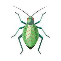 Charming Aphid Illustration for Classroom Use vector