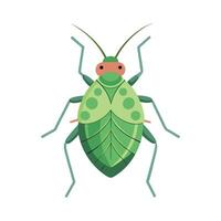 Interesting Aphid Illustration for Educational Use vector