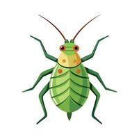 Education on Aphids Through Illustrated Reference vector