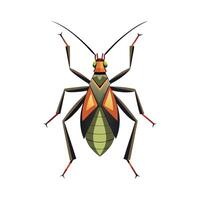 Exploring Assassin Bug Species With Illustration vector