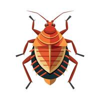 Understanding Bedbugs Through Illustration vector