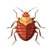 Engaging Bedbug Educational Illustration for Kids vector