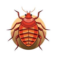 Educational Illustration of Bedbugs for Kids Learning vector