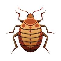 Colorful Bedbugs Illustration For Educational Content vector