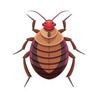 Bedbug Illustration for Learning About Pests vector