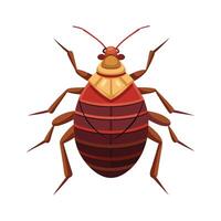 Comprehensive Bedbug Illustration for Education vector