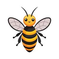 Artistic Representation of Bee Species for Learning vector