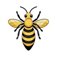 Unique Bee Illustration for Educational Content vector