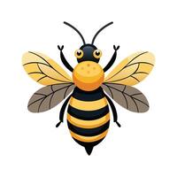 Detailed Bee Illustration for Learning About Pollinators vector