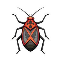 Fun Boxelder Bug Illustration for Kids Learning vector