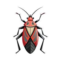 Illustration of Boxelder Bug Species for Kids vector