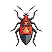 Engaging Boxelder Bug Illustration for Kids Learning vector