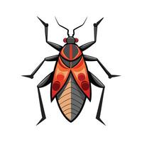 Creative Illustration of Boxelder Bugs for Education vector