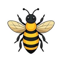 Engaging Bumblebee Illustration for Science Learning vector