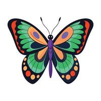 Butterflies Illustrated Collection for Kids Learning vector