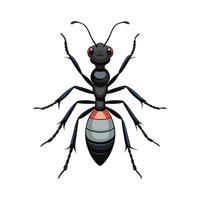 Engaging Carpenter Ants Illustration for Learning vector
